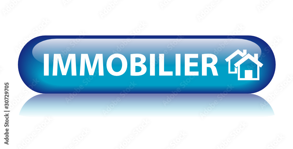 Bouton Web IMMOBILIER (propriété agence immobilière vente achat) Bouton Web IMMOBILIER (propriété agence immobilière vente achat)