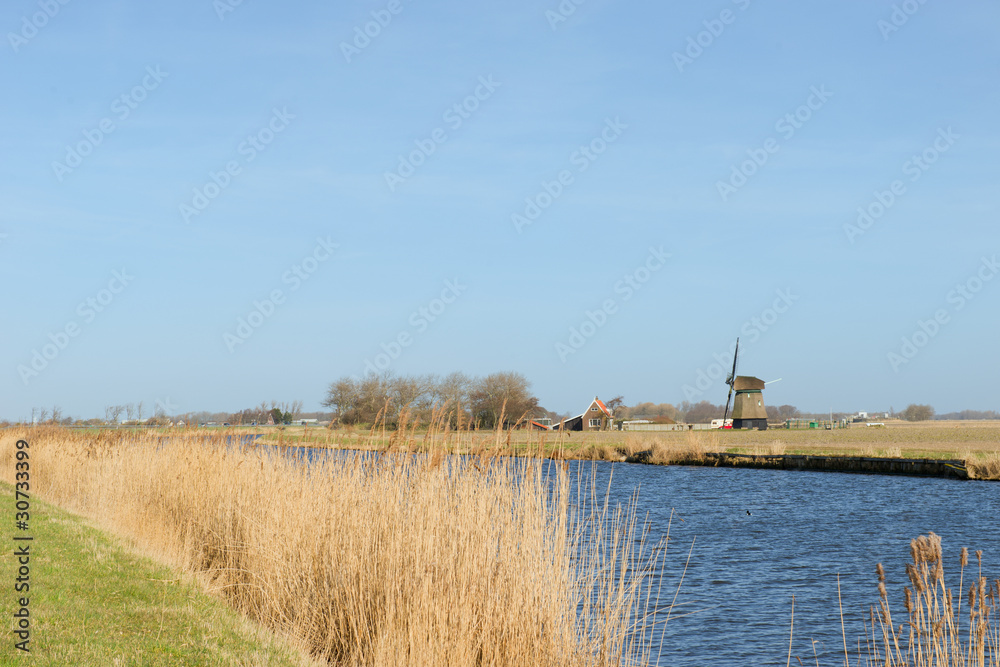 Typical dutch landscape