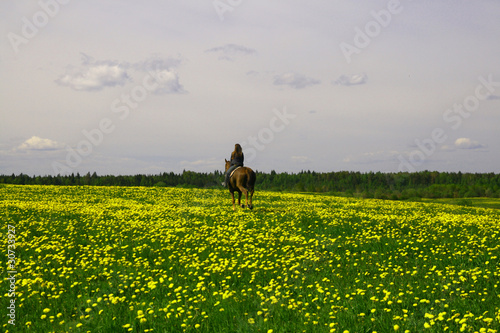 horse rider © yellowj