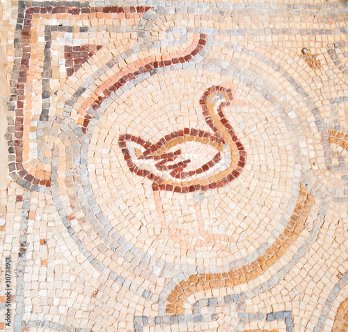 Floor mosaics in Qasr Al Hallabat desert castle,