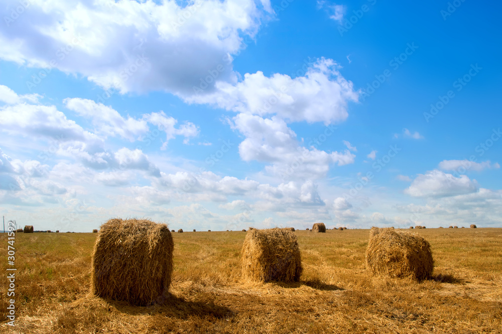 Field with hay or straw bales