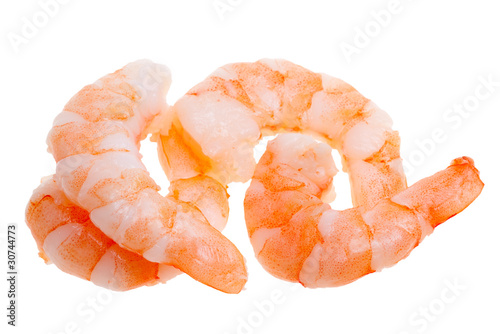 prepared shrimp isolated