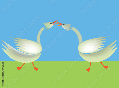 Fighting geese, abstract