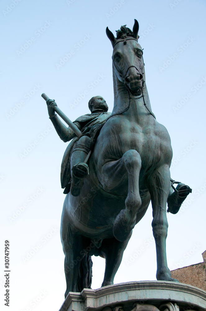 Obraz premium Florence87