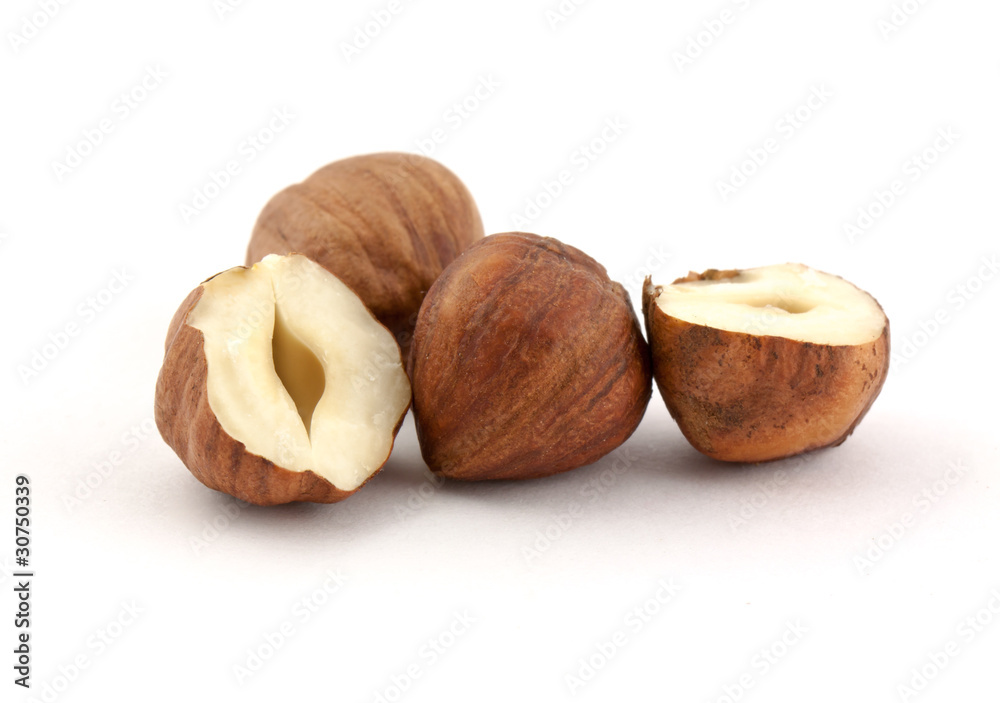 Hazel nut Hazel nut