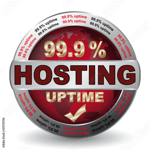 HOSTING 99.9% ICON