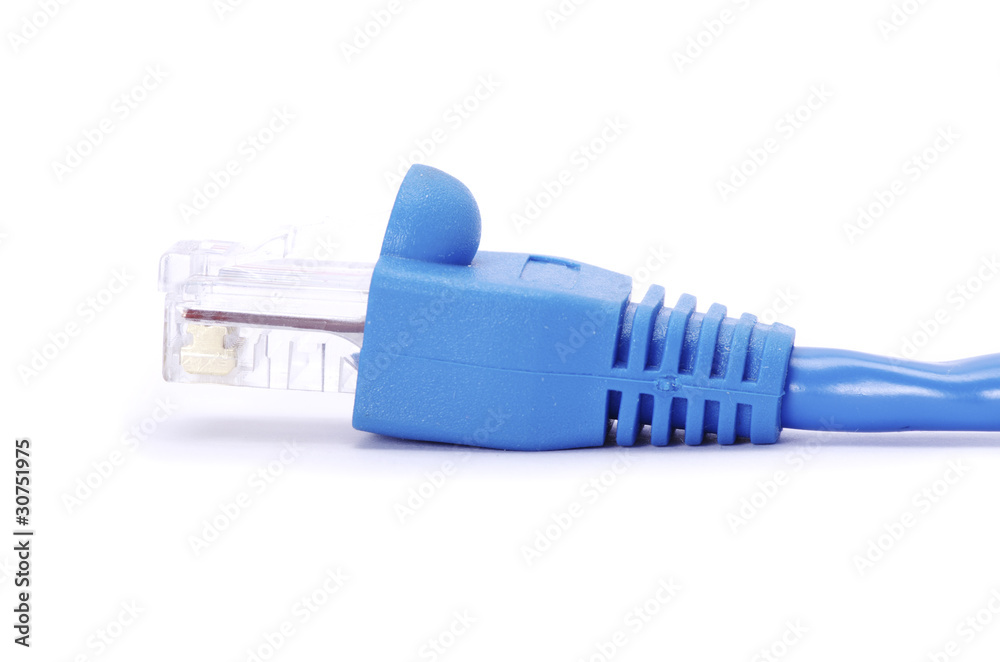 network connection plug network connection plug