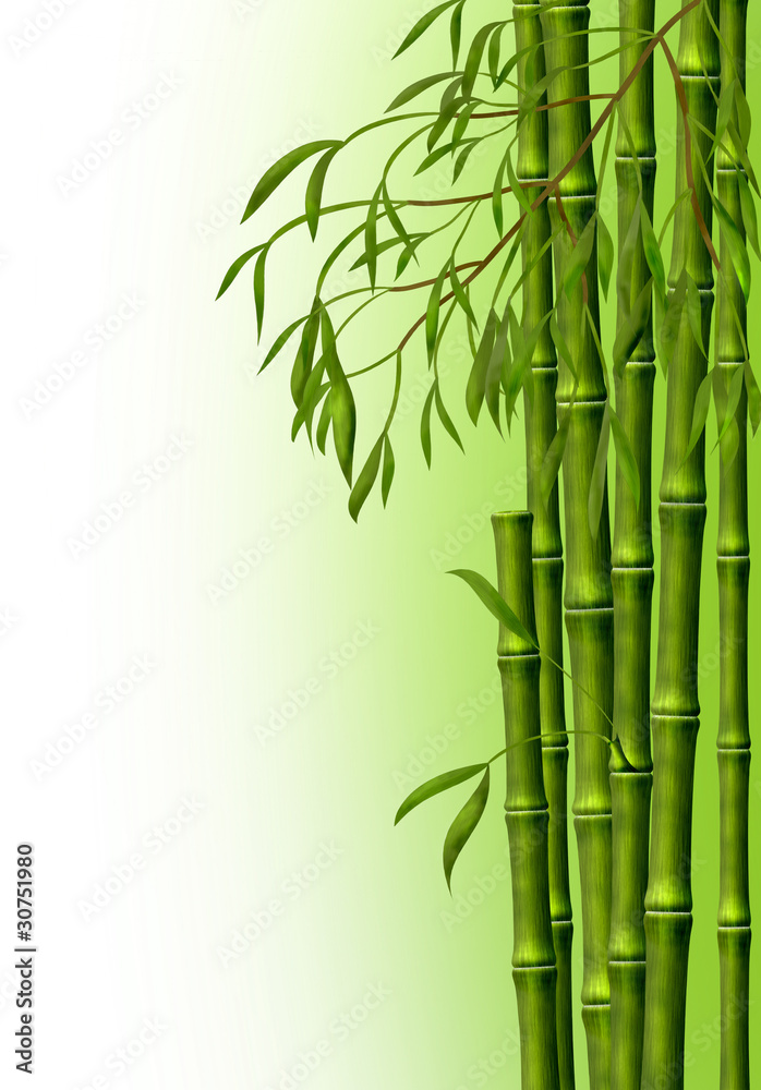 Naklejka premium Бамбуковая роща, фон из стеблей бамбука