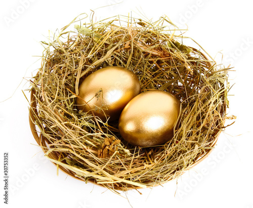 Three golden hen's eggs in the grassy nest isolated on white