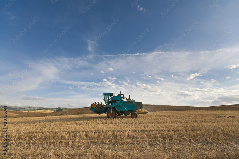 Obraz premium 丰收的田园