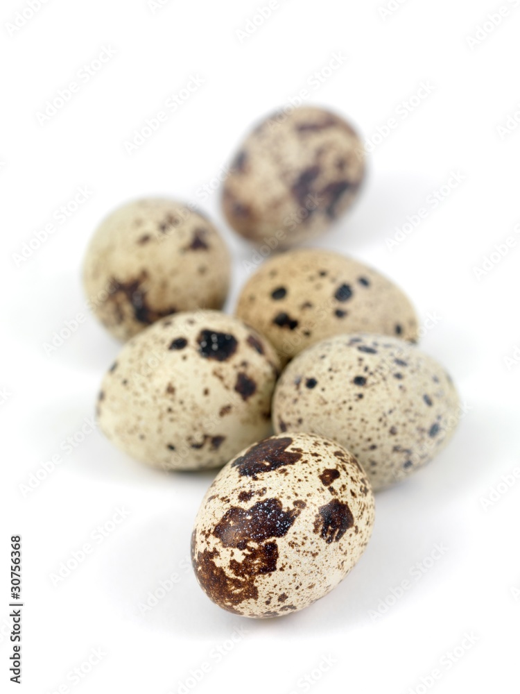 Quail Eggs
