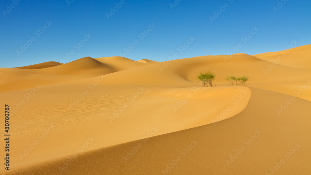 Sand Dune - Awbari Sand Sea - Sahara Desert, Libya