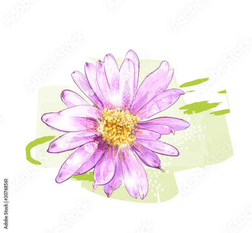 pink flower with dew drops