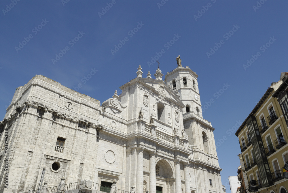 Valladolid. Catedral, detalle de la fachada