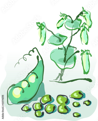 Green peas