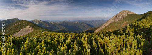 Beautiful summer landscape in the mountains photo