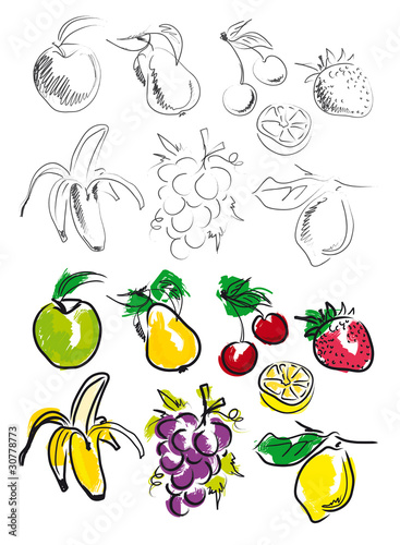 FRUITS ILLUSTRATION 1