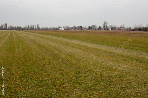 grain field geometry