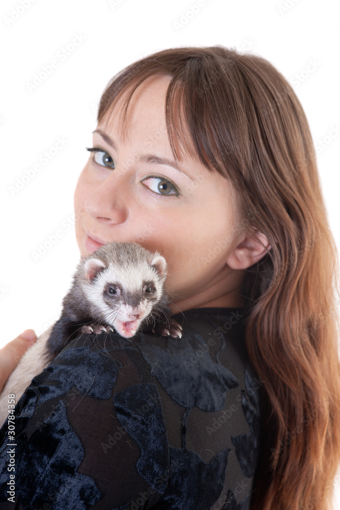 Polecat on a shoulder Polecat on a shoulder