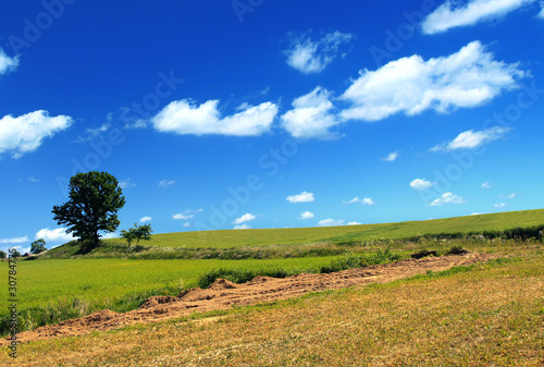 summer country view