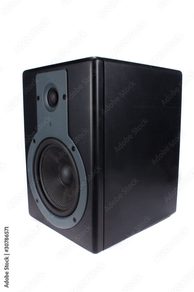 Obraz premium Professional Speaker