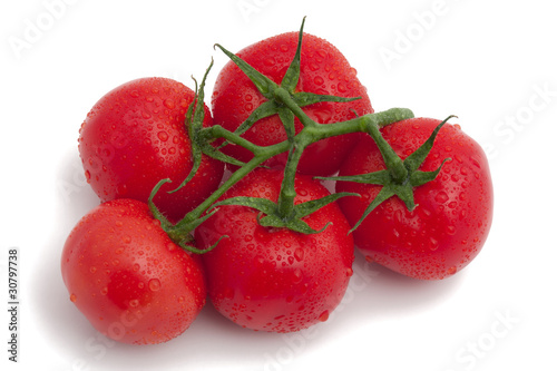 Tomatoes on vine