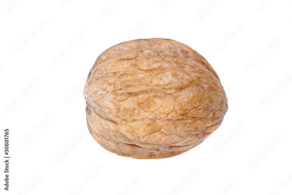 wallnut wallnut