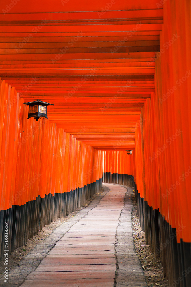 fushimi schrein 5 fushimi schrein 5