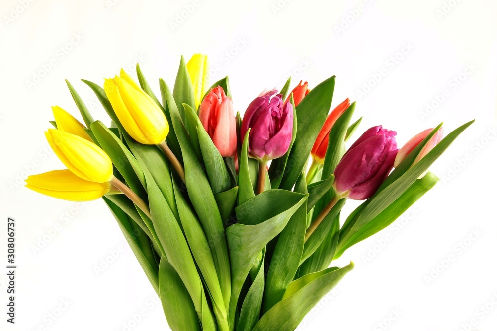 posy of tulips