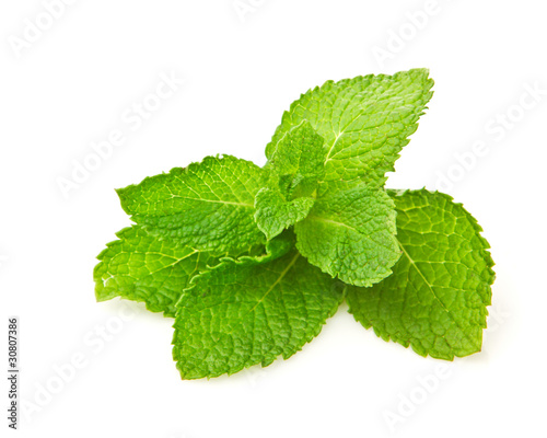 Fresh green mint isolated on white