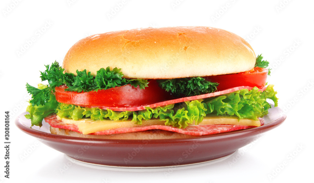hamburger isolated on white hamburger isolated on white
