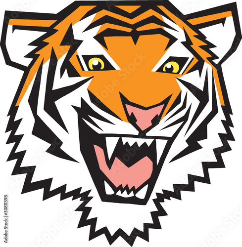 Obraz na płótnie Tiger