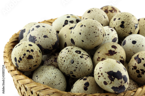 panier d'oeufs de caille