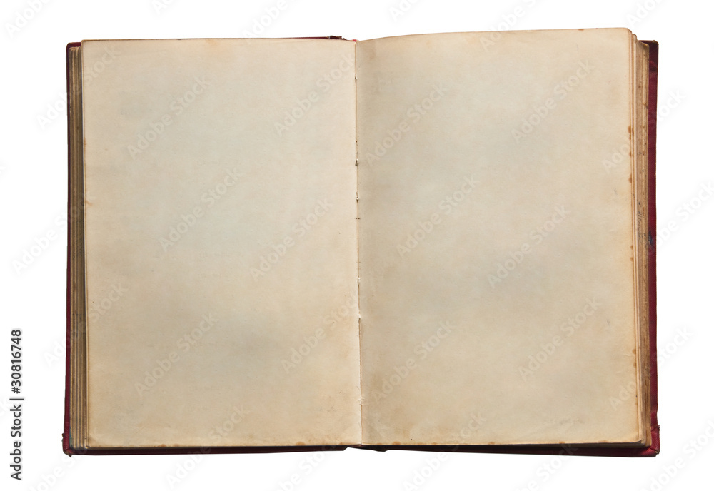 The Blank of vintage book