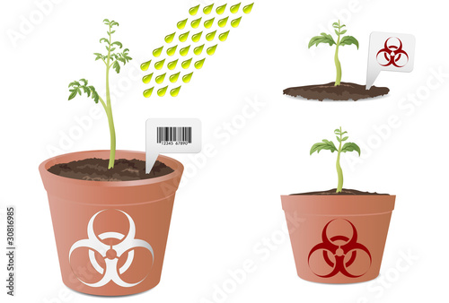 Genetically modified organism; tomato plant with bio hazard icon