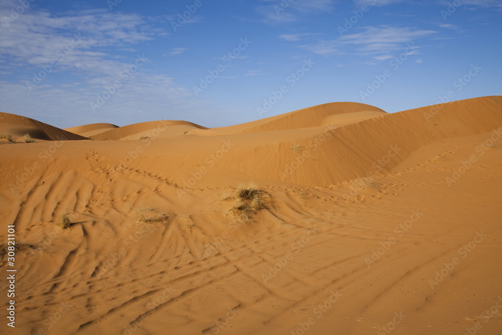 Sahara Desert, merzouga