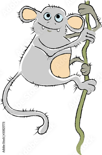 monkey