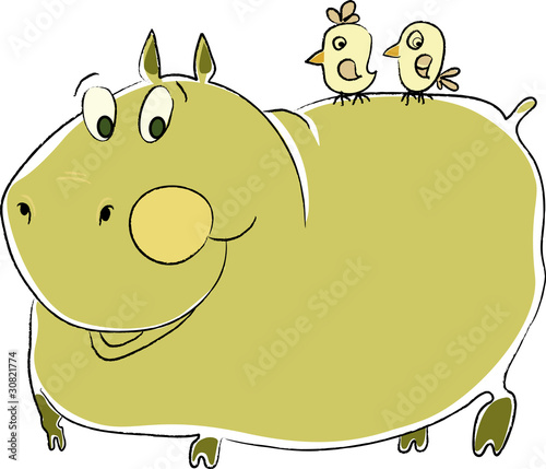 hippopotamus