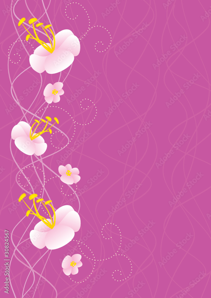 pink flowers on waved background