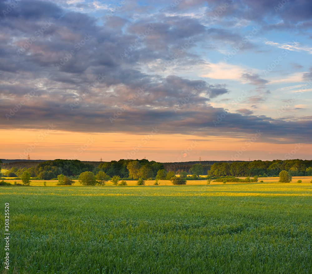 Obraz premium Summer Landscape