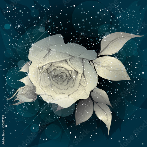 Moon Rose / Night sky background