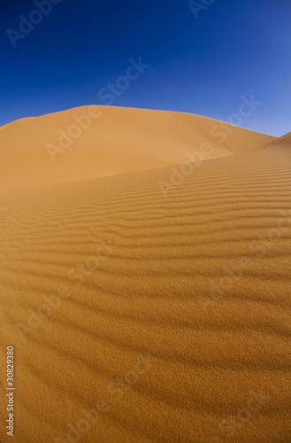 Sahara Desert  merzouga