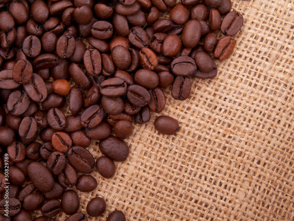Coffee beans on canvas Coffee beans on canvas