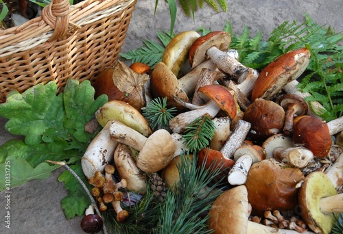 благородные грибы с корзиной и листьями
