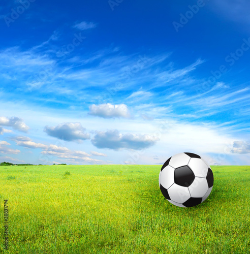 soccer ball and green grass © Liliia