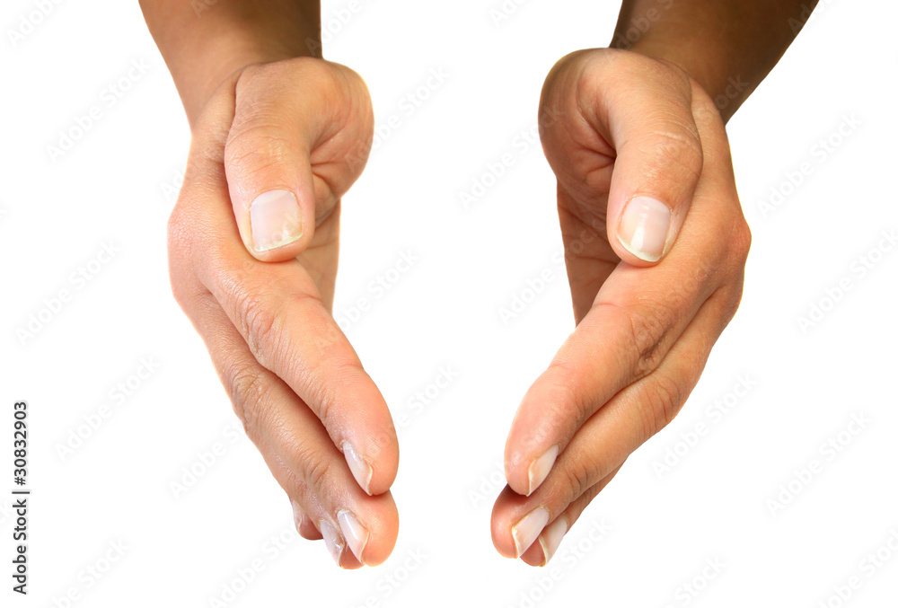 Female hands in protection shape on a white background Female hands in protection shape on a white background