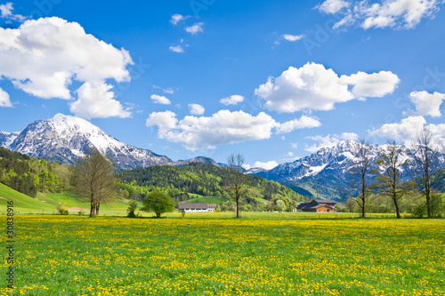 alpine landscape