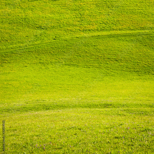 green field © kubais