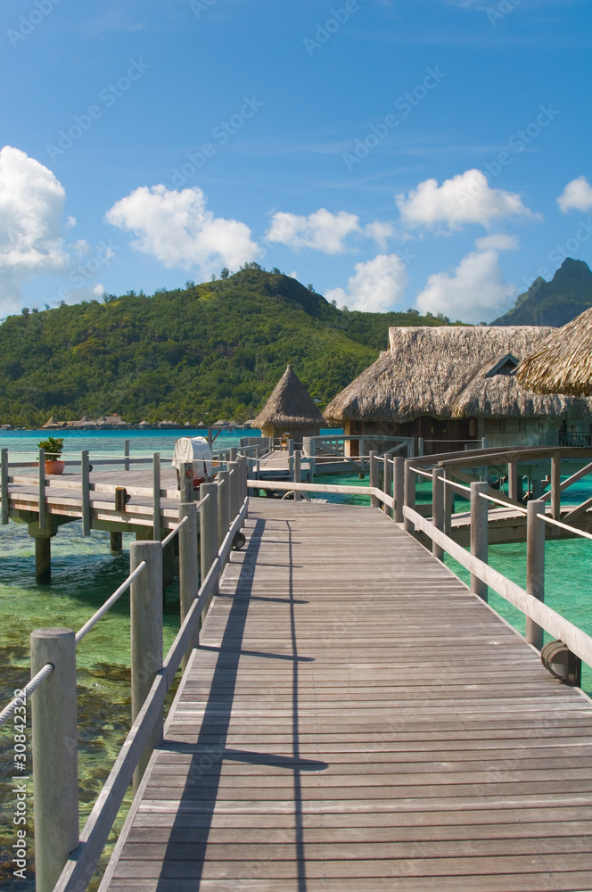 Fototapeta premium タヒチの景色