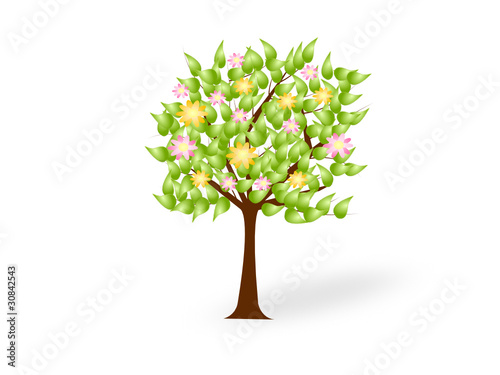Sommerbaum